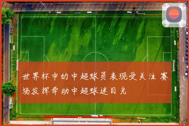 世界杯中的中超球员表现受关注 赛场发挥牵动中超球迷目光