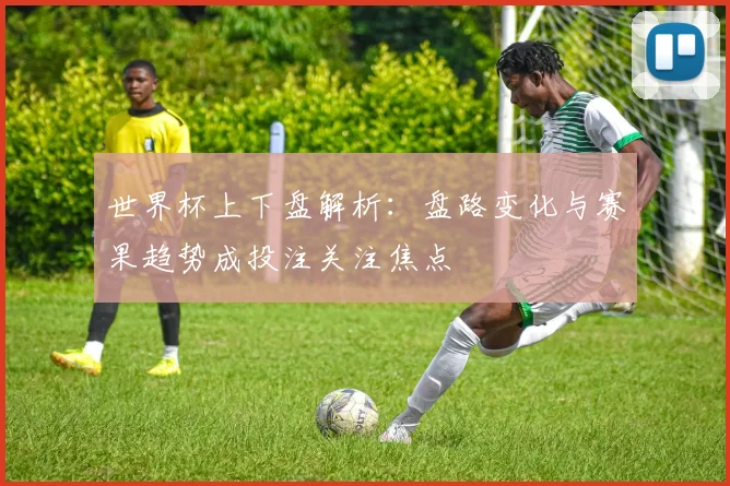 世界杯上下盘解析：盘路变化与赛果趋势成投注关注焦点