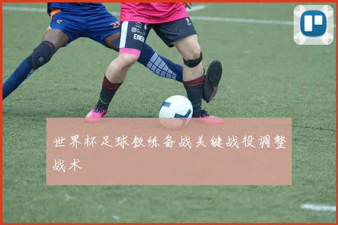 世界杯足球教练备战关键战役调整战术