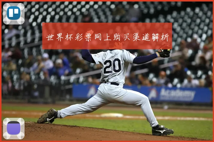 世界杯彩票网上购买渠道解析