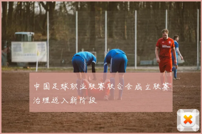 中国足球职业联赛联合会成立联赛治理迈入新阶段